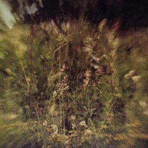 Pluralone: Wile B/w Remembered (purple) (7-Inch Single)