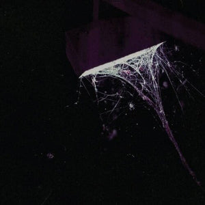 Pluralone: Across The Park B/w Sevens (7-Inch Single)