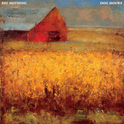 Big Nothing: Dog Hours (transparent Blue) (Vinyl LP)