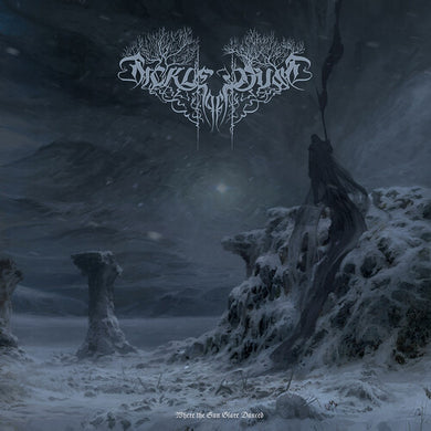 Where The Sun Glare Dancedby Sickle of Dust (Vinyl Record)