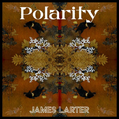 James Larter: Polarity (12-Inch Single)