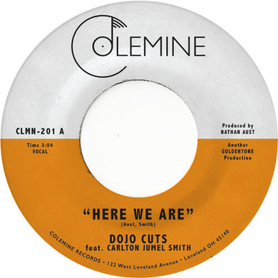 Here We Are (Coke Bottle Clear)by Dojo Cuts (Vinyl Record)
