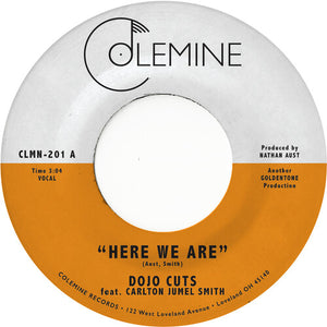 Here We Are (Coke Bottle Clear)by Dojo Cuts (Vinyl Record)