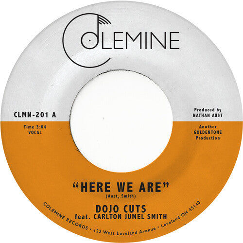 Here We Are (Coke Bottle Clear)by Dojo Cuts (Vinyl Record)