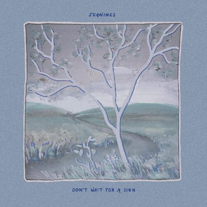 Jeanines: Don't Wait For A Sign (Vinyl LP)