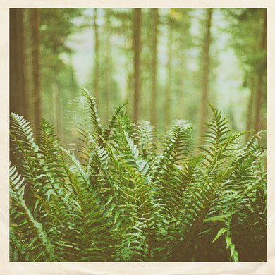 Mtbrd: Just Visiting (7-Inch Single)