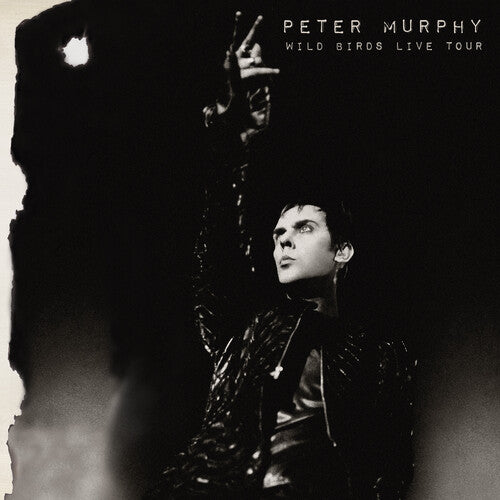 Murphy, Peter: Wild Birds Live Tour (purple & Black) (Vinyl LP)