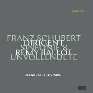 Schubert / Klangkollektiv Wien: Die Unvollendete 4 (Vinyl LP)