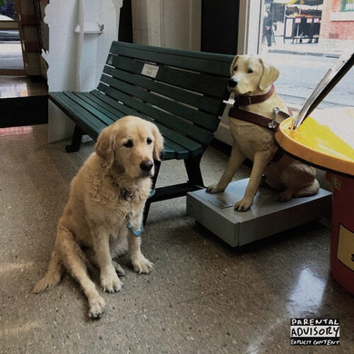 Good Morning: The Option (Red) (Vinyl LP)