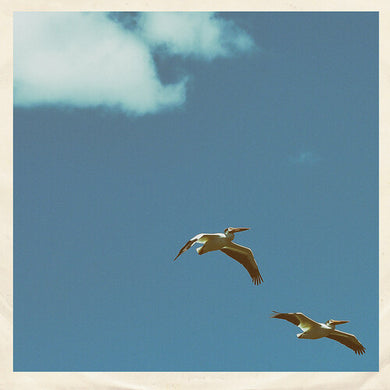 Sim Nagai: Palm Dreams (7-Inch Single)