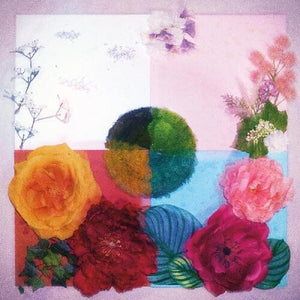 Zenizen: P.o.c (proof Of Concept) (Vinyl LP)