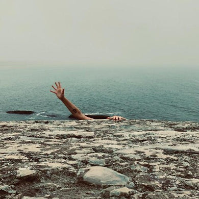 Pet Fox: A Face In Your Life (Vinyl LP)