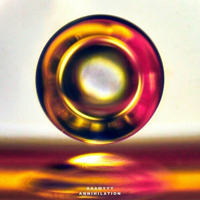 Aaamyyy: Annihilation (Vinyl LP)