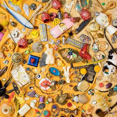 Neighbor Lady: For The Birds (Vinyl LP)