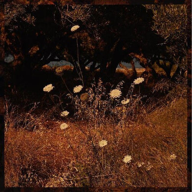 Szun Waves: Earth Patterns (Vinyl LP)