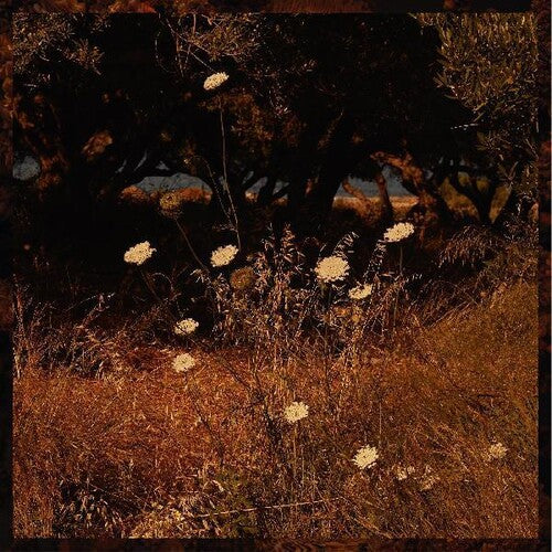 Szun Waves: Earth Patterns (Vinyl LP)