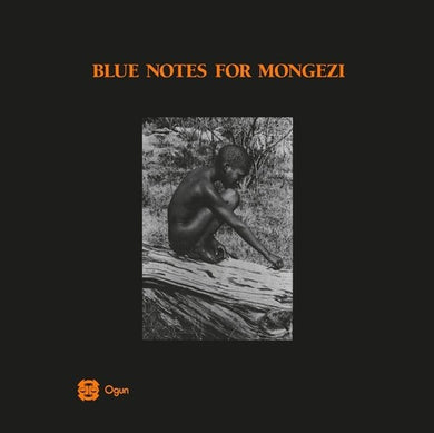 Blue Notes: Blue Notes For Mongezi (Vinyl LP)