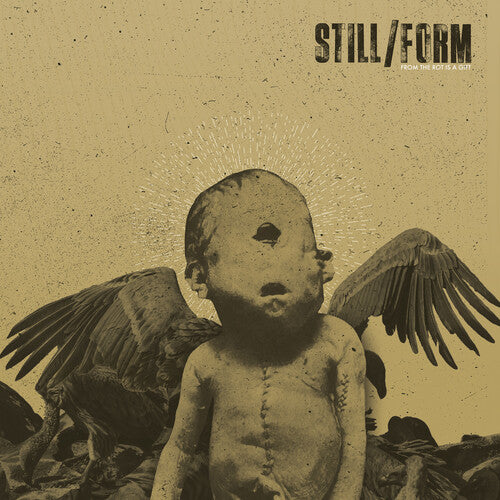 Still/Form: From The Rot Is A Gift (Vinyl LP)