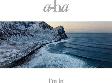 A-Ha: True North (Vinyl LP)