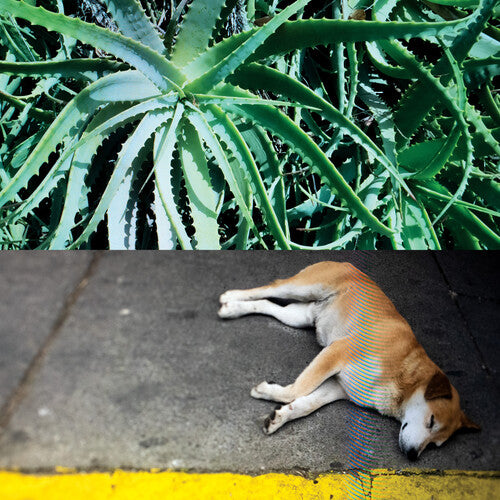 Bates, Steve: All The Things That Happen (Vinyl LP)