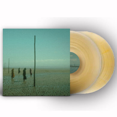 Devils Witches: In All Her Forms - Gold/clear Marbled (Vinyl LP)