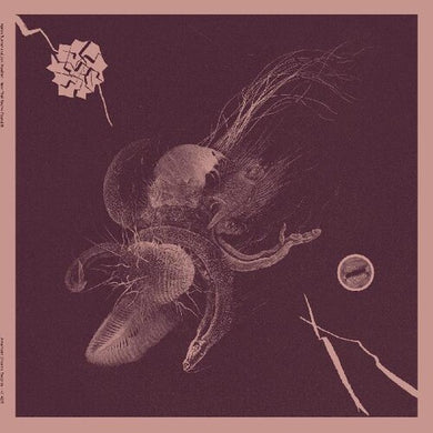 Turner, Aaron / Mueller, Jon: Now That You've Found It (Vinyl LP)