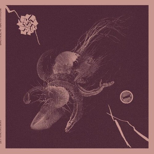 Turner, Aaron / Mueller, Jon: Now That You've Found It (Vinyl LP)