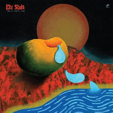 Ebi Soda: Honk If You're Sad (Vinyl LP)