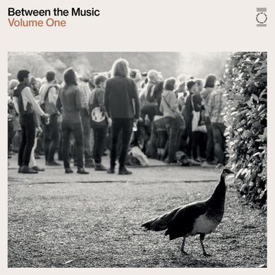 End of the Road Presents: Between the Music / Var: End Of The Road Presents: Between The Music / Var (Vinyl LP)