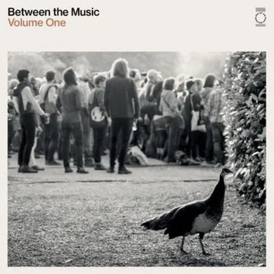 End of the Road Presents: Between the Music / Var: End Of The Road Presents: Between The Music / Various - White Colored Vinyl (Vinyl LP)