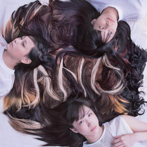 Tricot: A N D (Vinyl LP)