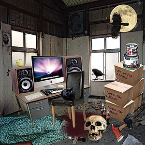 Soakubeats: Never Pay 4 Music (Vinyl LP)