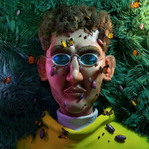DJ Piper: A Dream In A Dream (Vinyl LP)