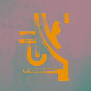 Bokoya: Hausensession (Vinyl LP)