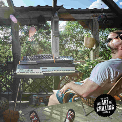 Breed: The Art Of Chilling V.2 (Vinyl LP)