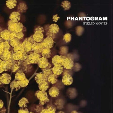 Phantogram: Eyelid Movies (Vinyl LP)