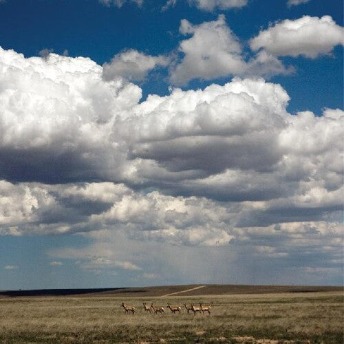 Fruit Bats: Tripper (Vinyl LP)