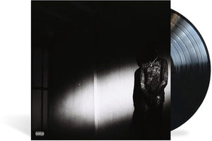 Destroy Lonely: No Stylist (Vinyl LP)