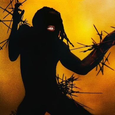 Young Fathers: Heavy Heavy (Vinyl LP)