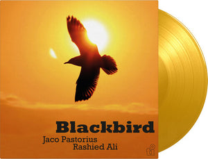 Pastorius, Jaco / Ali, Rashied: Blackbird (Vinyl LP)