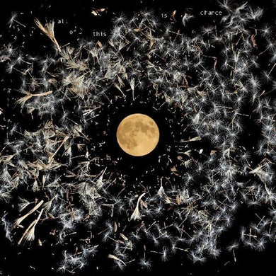 O'Neill, Lisa: All Of This Is Chance (Vinyl LP)