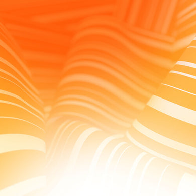 El Ten Eleven: Valley Of Fire - Bone (Vinyl LP)