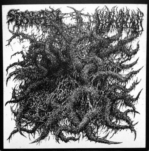 Spectral Voice / Blood Incantation: Split (7-Inch Single)