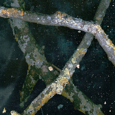 Saaadon: Mpetb (Vinyl LP)