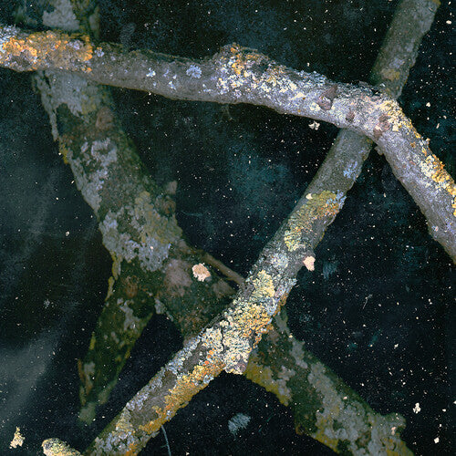 Saaadon: Mpetb (Vinyl LP)