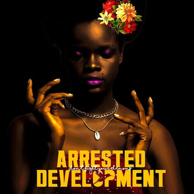 Arrested Development: Don't Fight Your Demons (Vinyl LP)