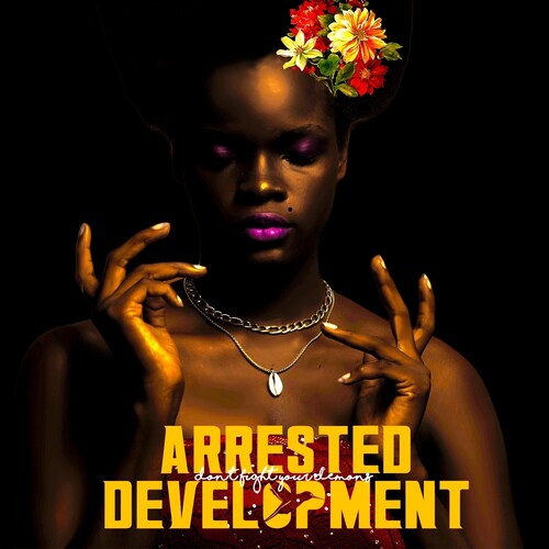 Arrested Development: Don't Fight Your Demons (Vinyl LP)