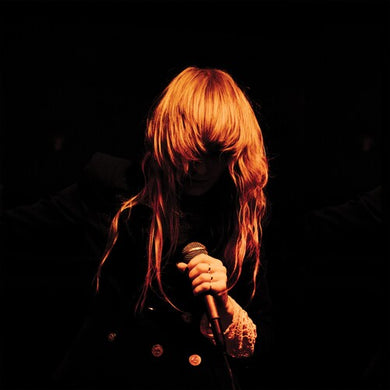 Dark Horses: While We Were Sleeping (Vinyl LP)