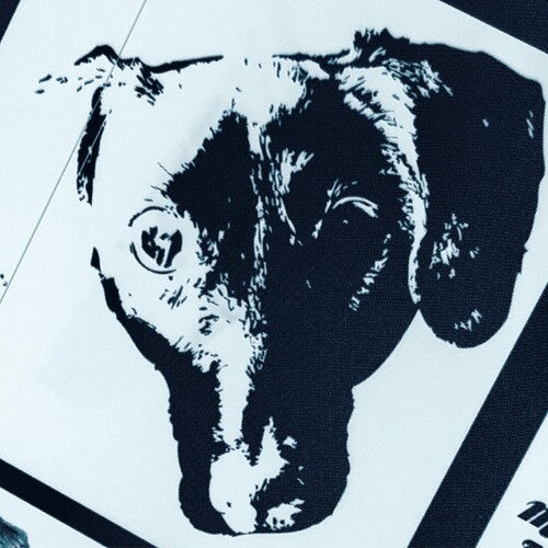 Leonhart, Michael Orchestra: Denial (Original Soundtrack) (7-Inch Single)