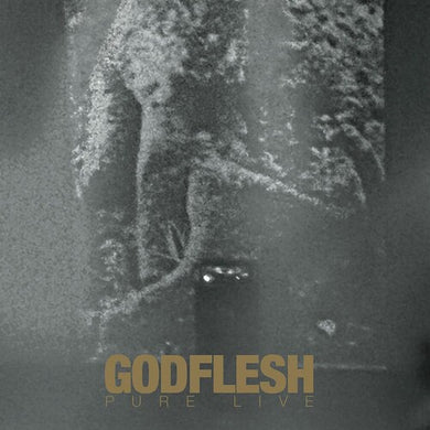 Godflesh: Pure Live (Vinyl LP)